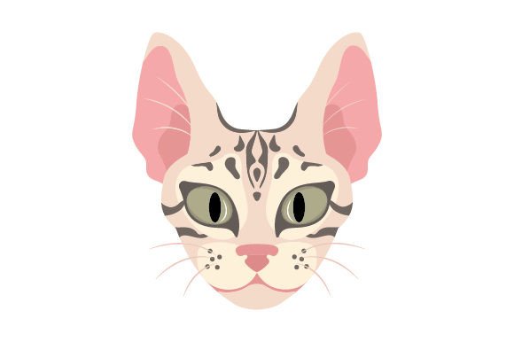 Bengal Cat Floating Head Embroidery Review