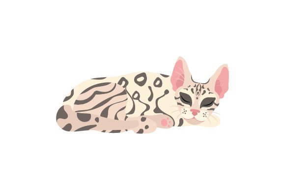 Bengal Cat Sleeping Embroidery Design Review