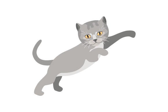 British Short Hair Cat Jumping Embroidery Review