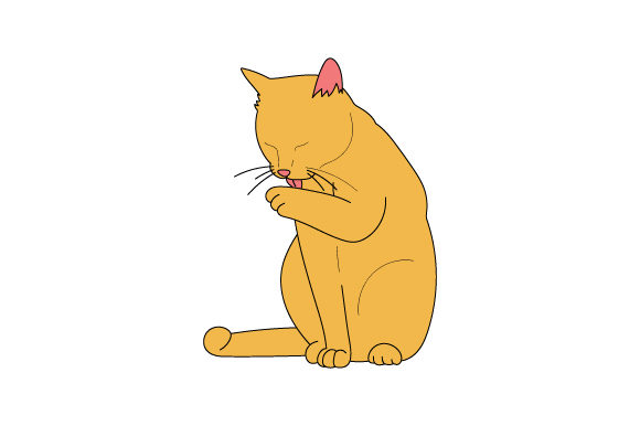Cat Licking Himself Embroidery Design Review