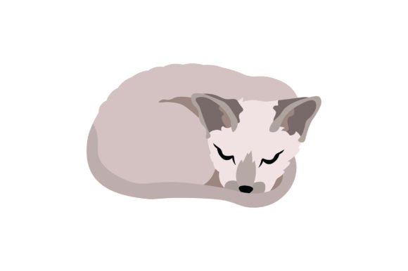 Cornish Rex Cat Sleeping Embroidery Design Review