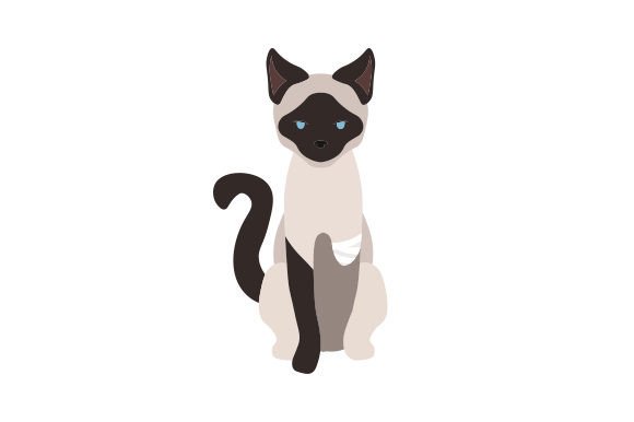 Disabled Cat Embroidery Design Review