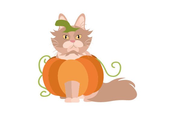 Maine Coon Cat Halloween Embroidery Design