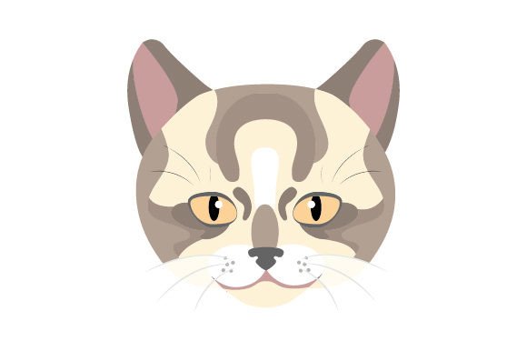 Munchkin Cat Floating Head Embroidery Design Review