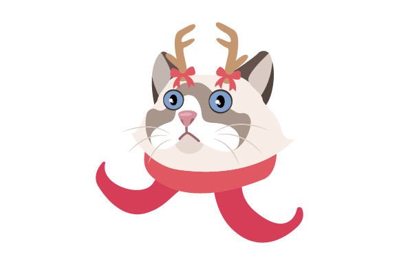 Ragdoll Cat with Christmas Decorations