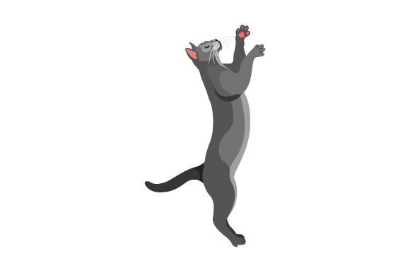 Russian Blue Cat Jumping Embroidery Design Review