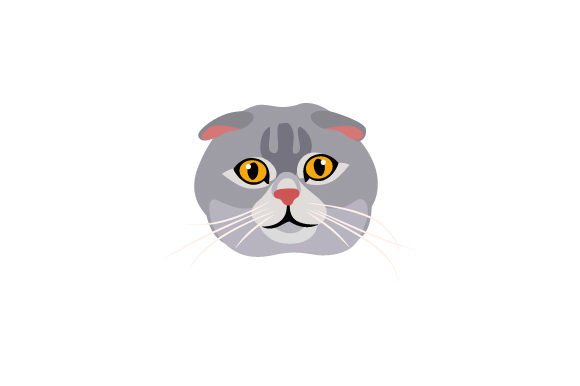 Scottish Fold Cat Floating Head Embroidery Review