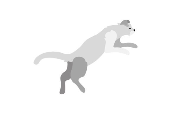 Scottish Fold Cat Jumping Embroidery Design Review