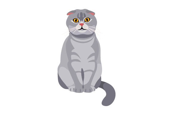 Scottish Fold Cat Sitting Embroidery Review