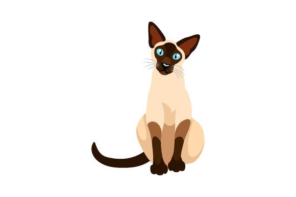 Siamese Cat Sitting Embroidery Review