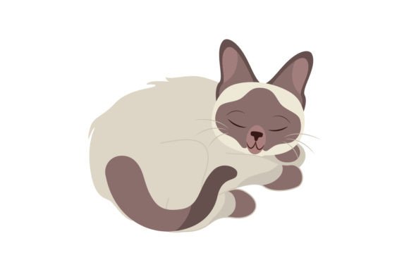 Siamese Cat Sleeping Embroidery Design Review