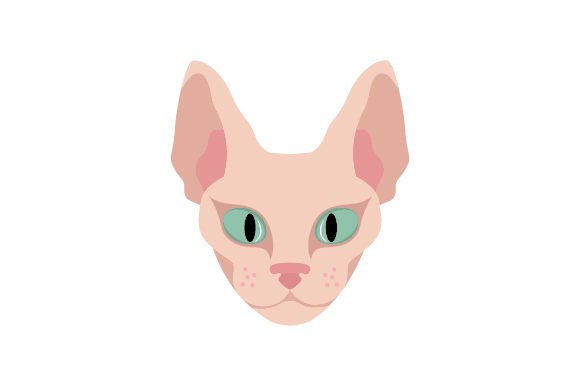 Sphynx Cat Floating Head Embroidery Design Review