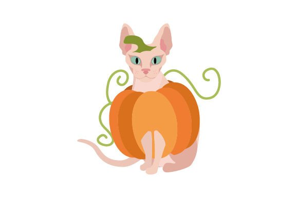 Sphynx Cat Halloween Embroidery Design