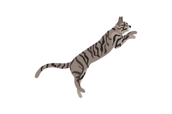 Tabby Cat Jumping Embroidery Design Review