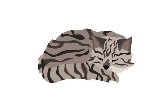 Tabby Cat Sleeping Embroidery Design Review