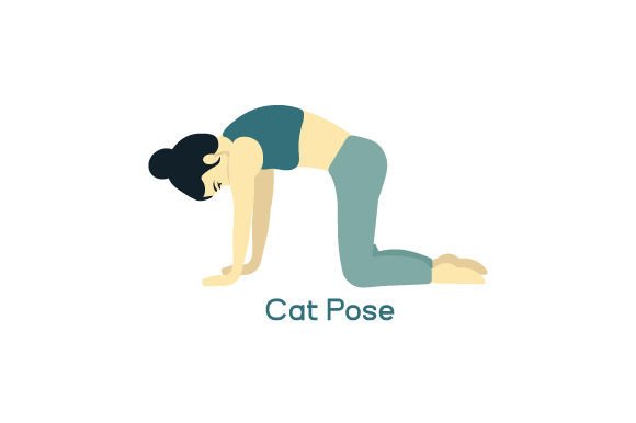 Yoga Cat Pose Embroidery Design Review